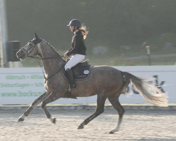 Reitturnier Babenhausen 2023