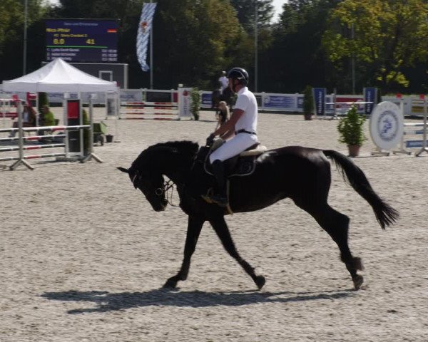 Reitturnier Babenhausen 2023