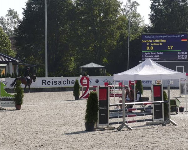 Reitturnier Babenhausen 2023