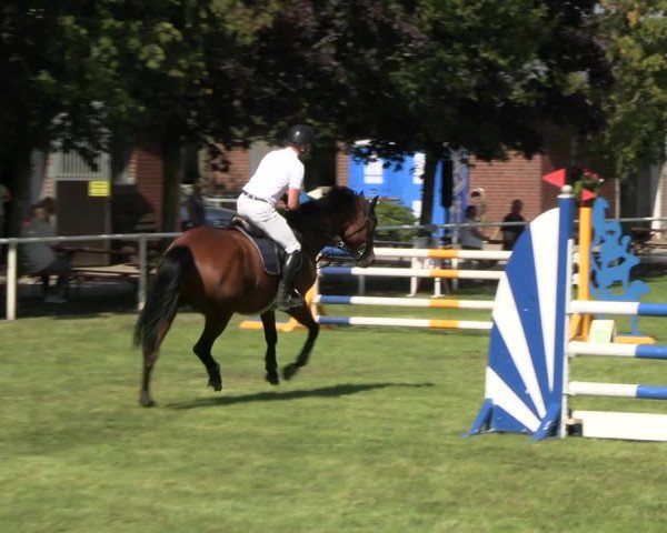 Reitturnier Münchehofe 2023