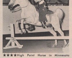 horse Galant ox (Arabian thoroughbred, 1951, from Phantom ox)