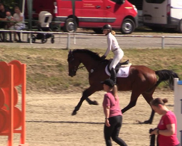 Reitturnier Langenleuba - Oberhain 2023