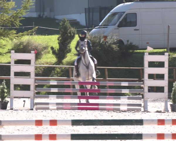 Reitturnier St. Ulrich am Pillersee 2023