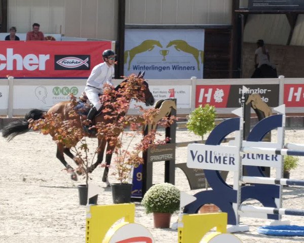 Reitturnier Winterlingen 2023