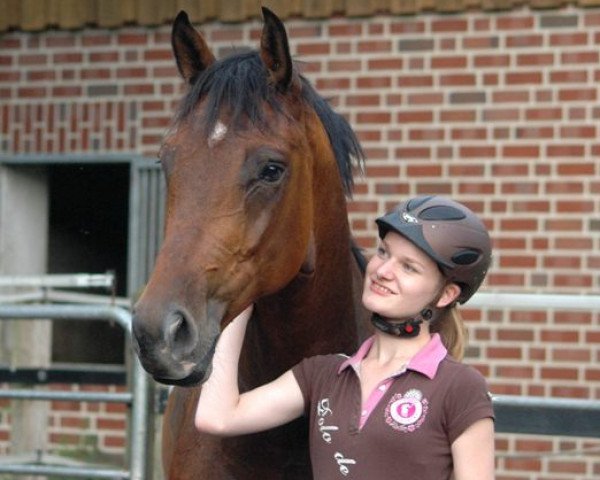 dressage horse Cascou W (Hanoverian, 2009, from Conteur)