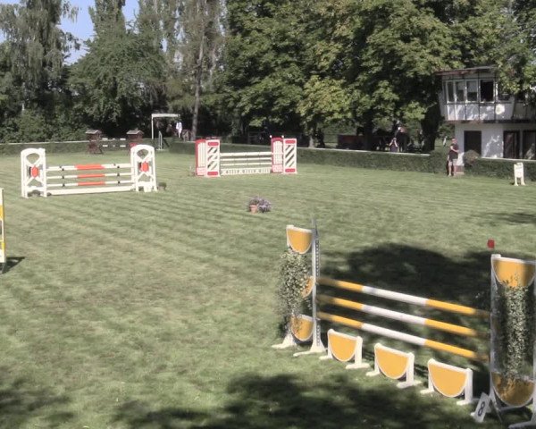 Reitturnier Westeregeln 2023
