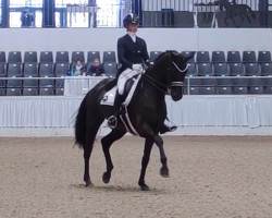 dressage horse Fleur de Nuit 7 (Hanoverian, 2014, from Fürst Nymphenburg)