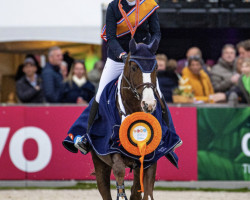 jumper Hero Elvis (KWPN (Royal Dutch Sporthorse), 2012, from VDL Groep Zagreb)