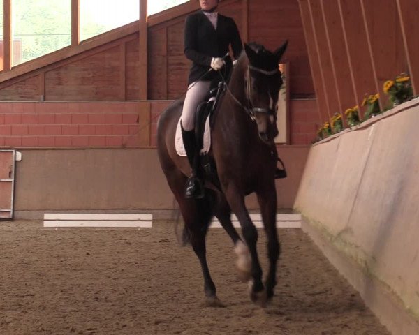 Reitturnier Dortmund-Barop 2023