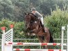 jumper Qualitos Legacy (Hanoverian, 2018, from Qualito)