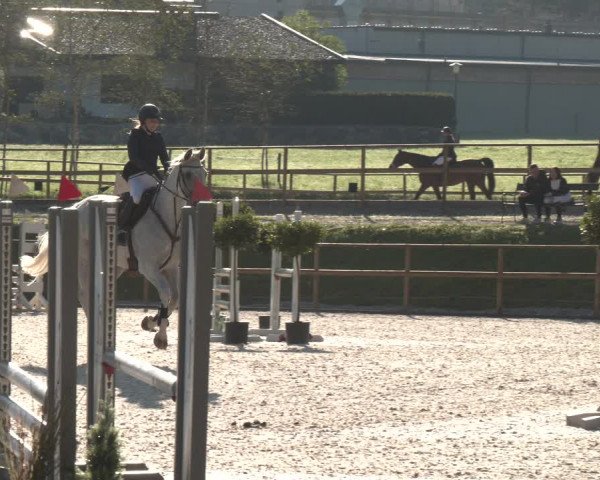 Reitturnier St. Ulrich am Pillersee 2023