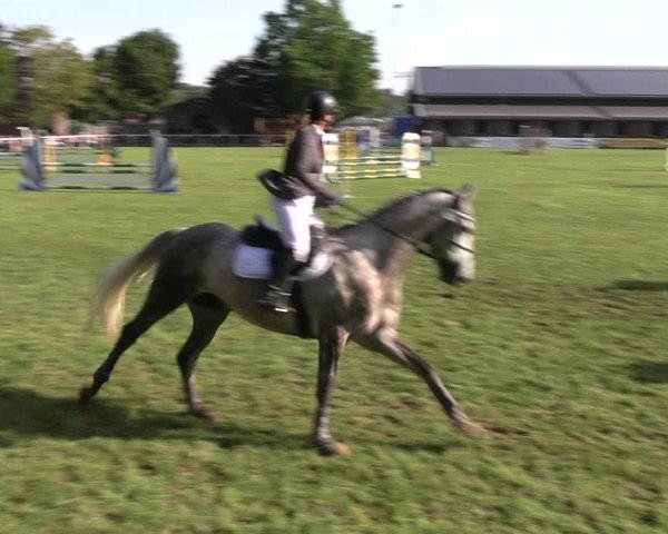Reitturnier Münchehofe 2023