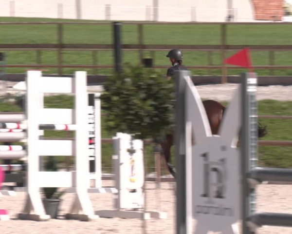 Reitturnier St. Ulrich am Pillersee 2023