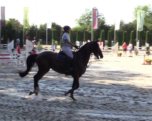Reitturnier Meinerzhagen 2023