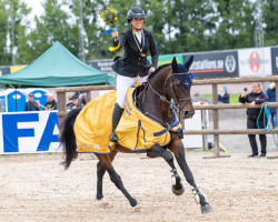 jumper Delina (KWPN (Royal Dutch Sporthorse), 2008, from Verdi)