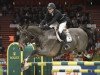 jumper Hansa Kredit Obelix (Swedish Warmblood, 2005, from Orlando van de Heffinck)