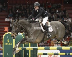 jumper Hansa Kredit Obelix (Swedish Warmblood, 2005, from Orlando van de Heffinck)