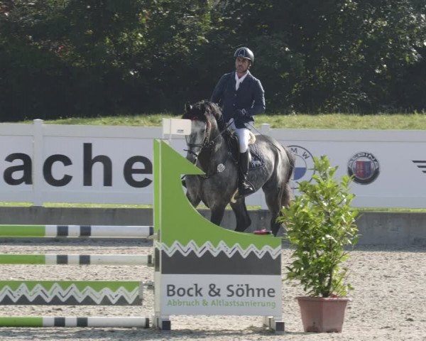 Reitturnier Babenhausen 2023