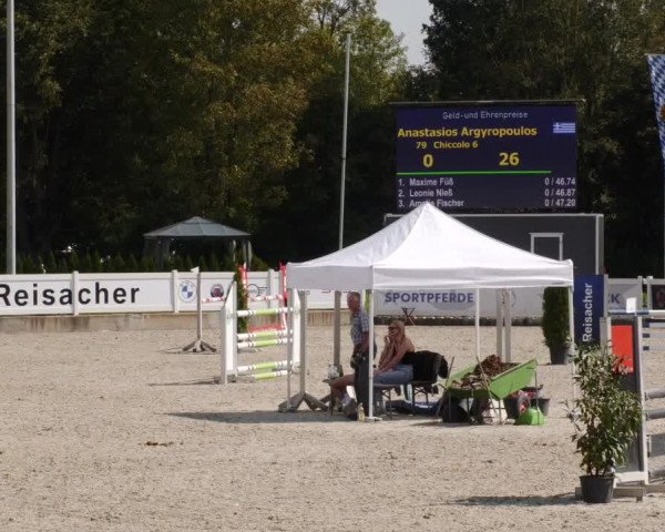 Reitturnier Babenhausen 2023