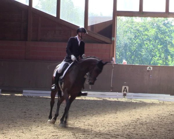 Reitturnier Dortmund-Barop 2023