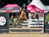 jumper PAV Vanity Fair (German Riding Pony, 2017, from Szenario)