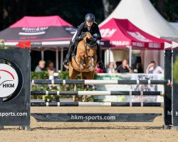 jumper PAV Vanity Fair (German Riding Pony, 2017, from Szenario)