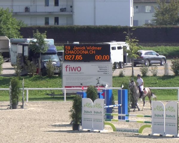 Reitturnier Bülach 2023