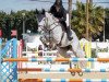 jumper Kaelyne S (KWPN (Royal Dutch Sporthorse), 2015, from Verdi)