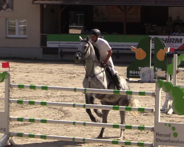 Reitturnier Langenleuba - Oberhain 2023