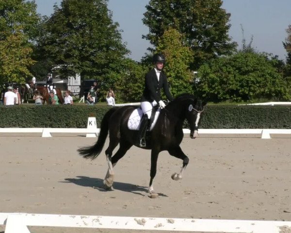 Reitturnier Westeregeln 2023
