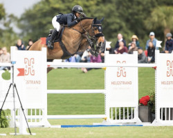 jumper Celina Bh (Holsteiner, 2010, from Canstakko)