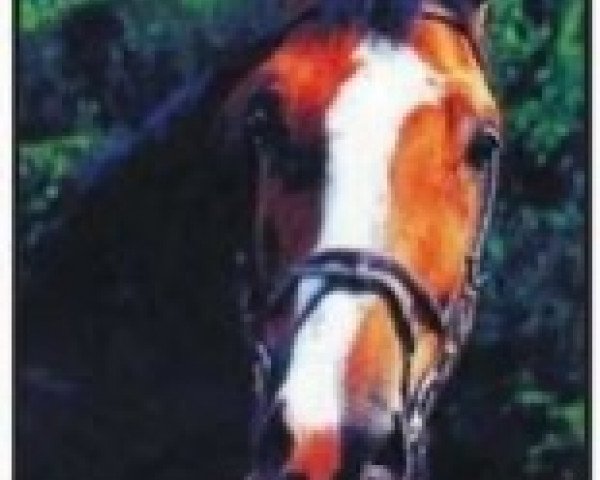 stallion Bijou du Taillan (Selle Français, 1989, from Almé)