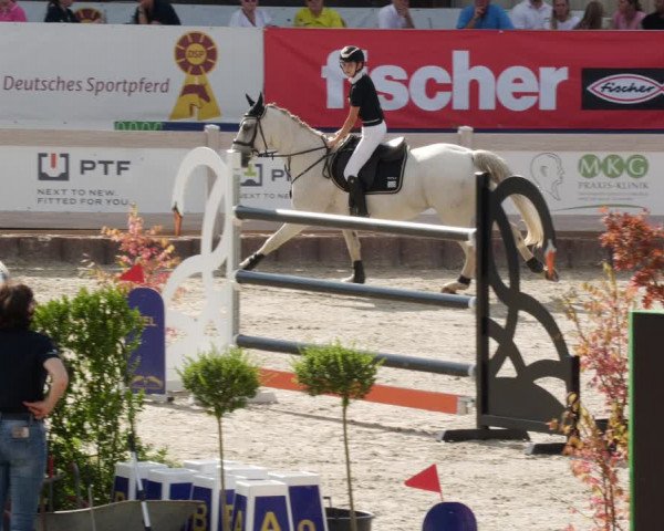 Reitturnier Winterlingen 2023
