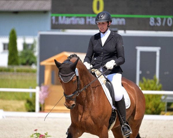 dressage horse Emilia Romagna 7 (Westphalian, 2019, from Erdinger)