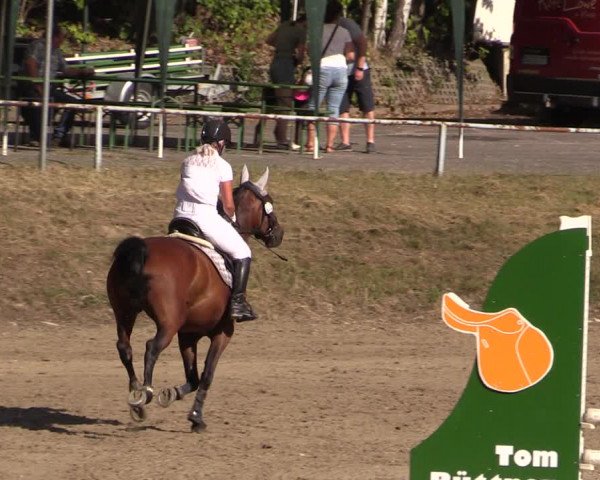 Reitturnier Langenleuba - Oberhain 2023