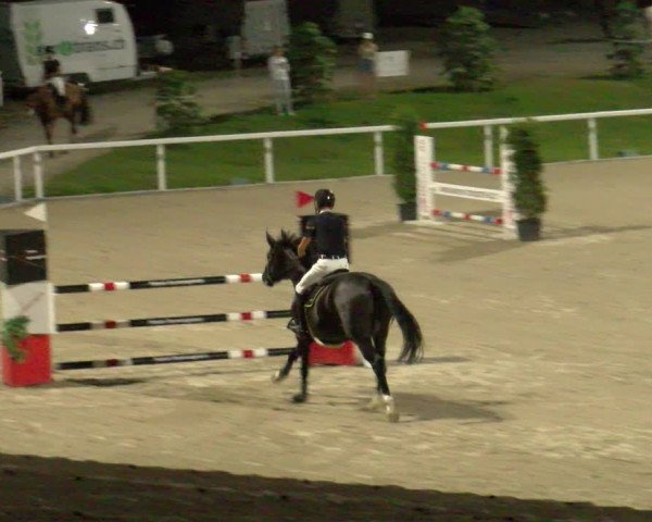 Reitturnier Bülach 2023