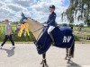 Springpferd Ams Melodie D (Deutsches Reitpony, 2010, von Amarillys Sensation D)