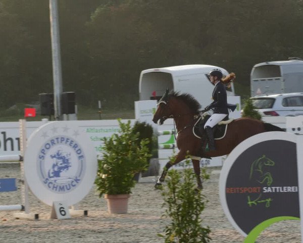 Reitturnier Babenhausen 2023