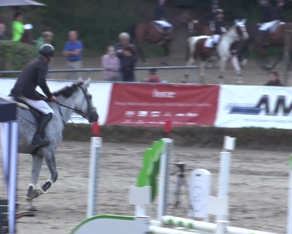 Reitturnier Langenleuba - Oberhain 2023
