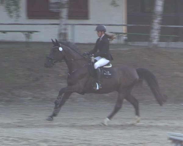 Reitturnier Langenleuba - Oberhain 2023