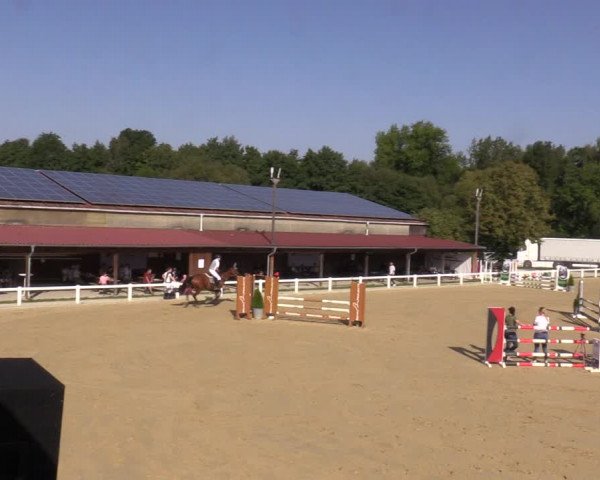 Reitturnier Oberkaufungen 2023