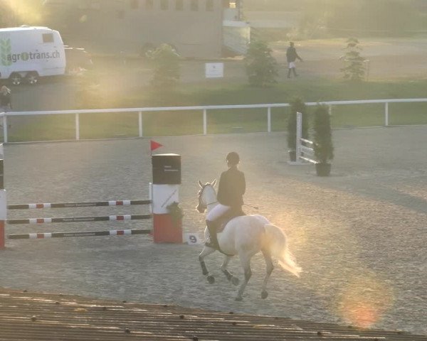 Reitturnier Bülach 2023