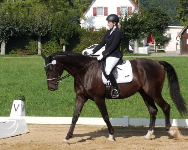 Reitturnier Babenhausen 2023