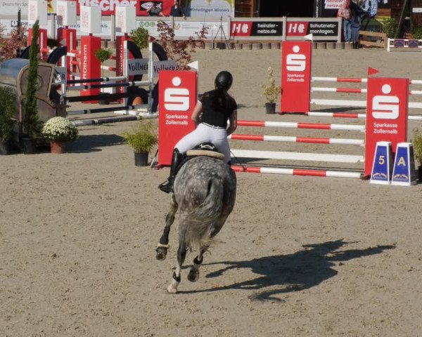Reitturnier Winterlingen 2023