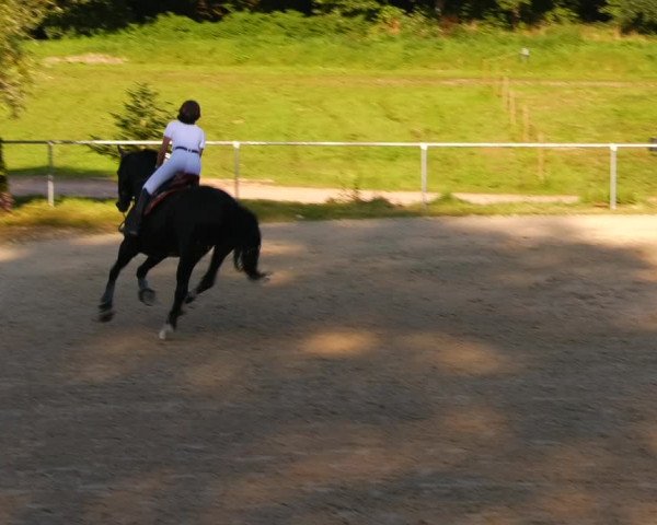 Reitturnier Bad Liebenstein/Sorga 2023