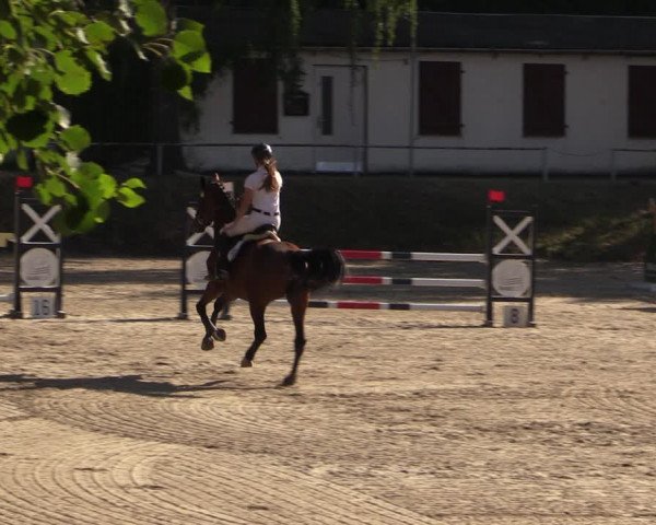 Reitturnier Langenleuba - Oberhain 2023