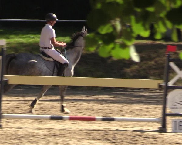 Reitturnier Langenleuba - Oberhain 2023