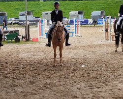 dressage horse Repelerhofs Dorfrocker (German Riding Pony, 2019, from Dimension AT NRW)