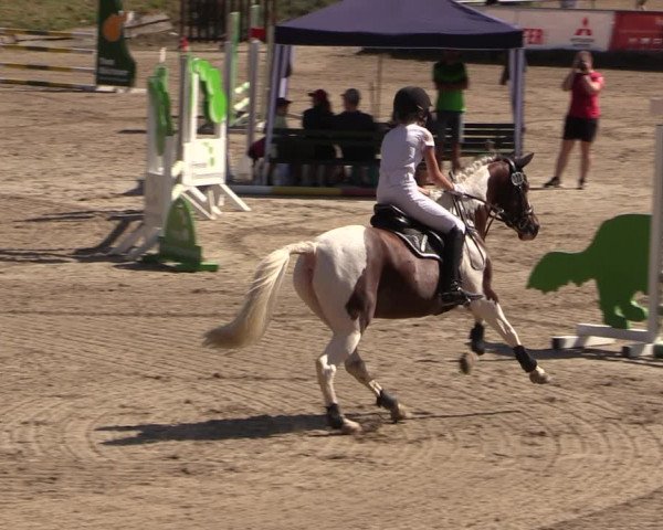 Reitturnier Langenleuba - Oberhain 2023