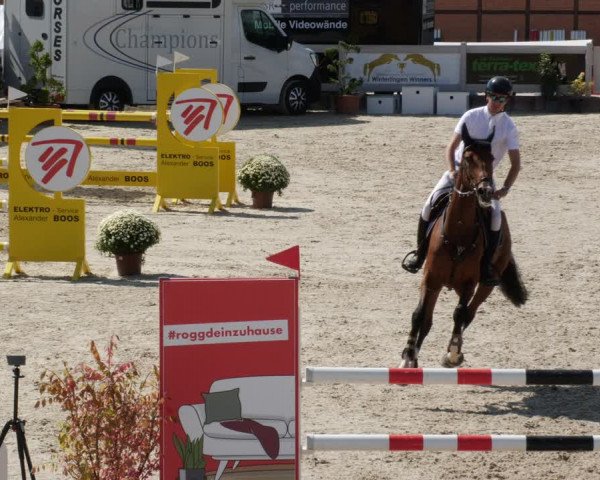Reitturnier Winterlingen 2023